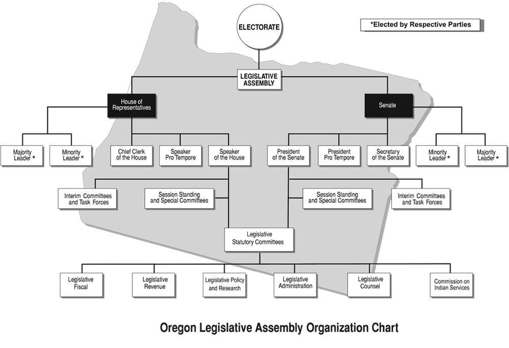 Indian Parliamentary System Chart