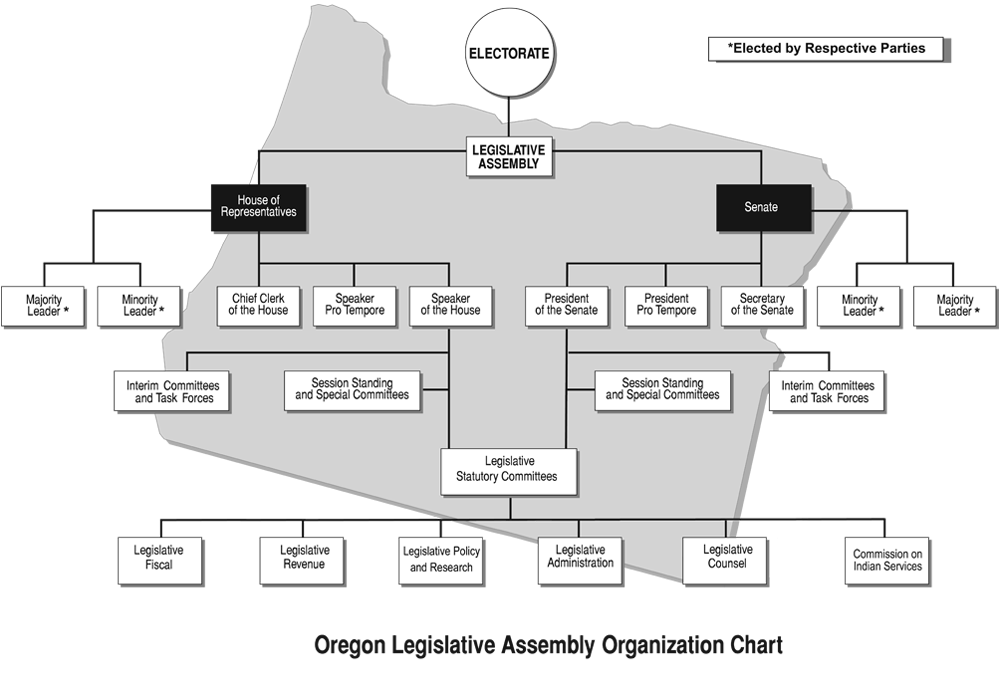 United States Legislative Branch Chart