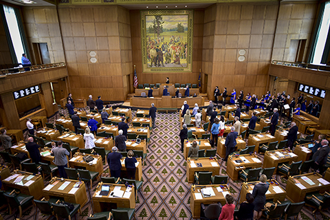 Picture of Legislature Session