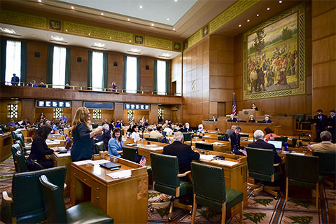 Picture of a legislative session