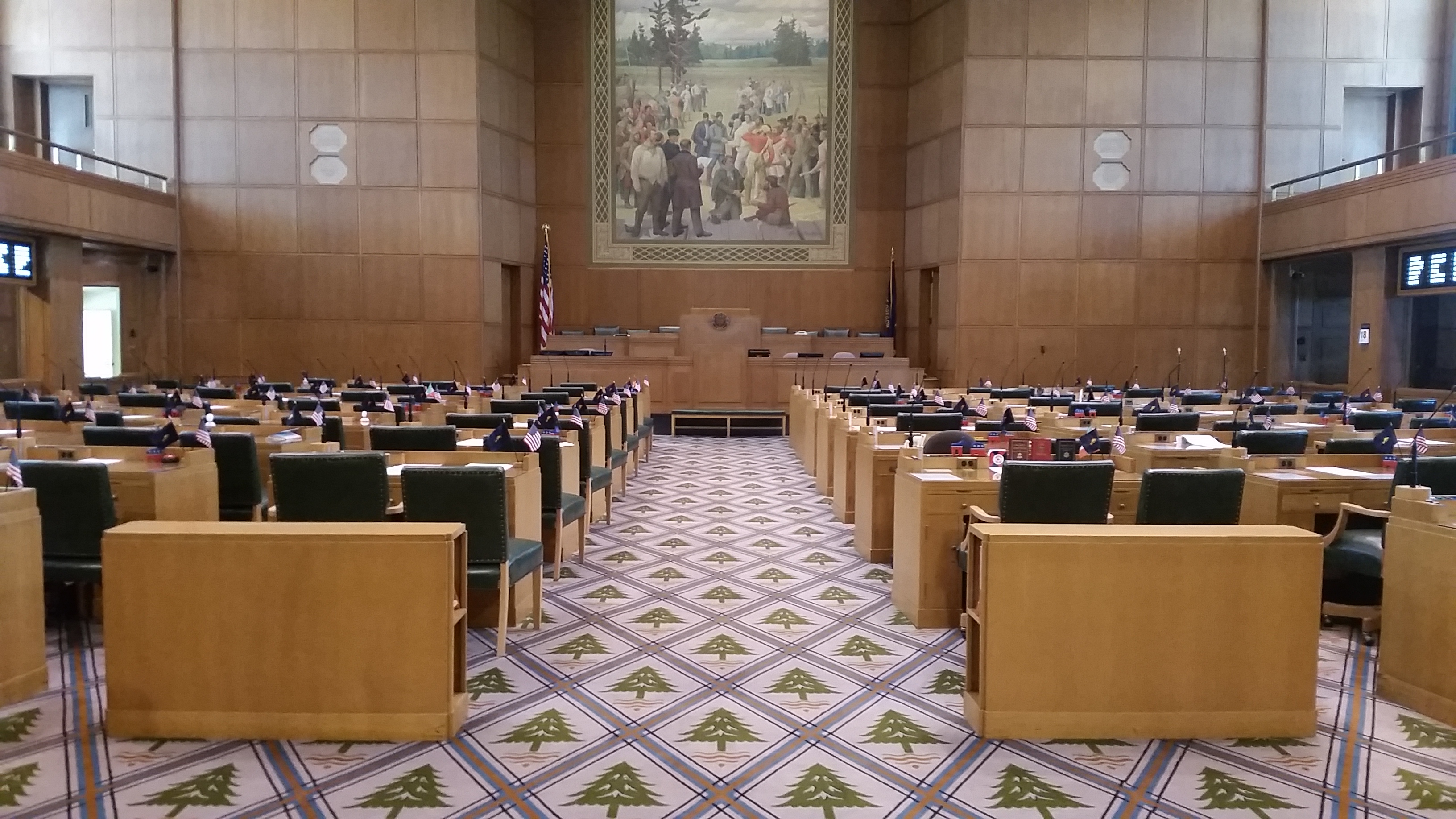 House Chamber Floor