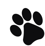 image1.png