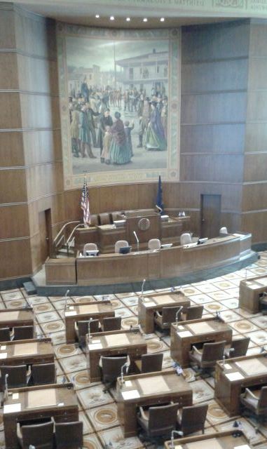 Senate term of office